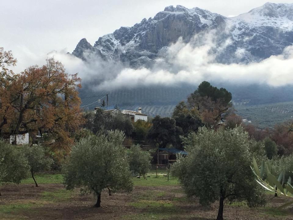 Posada Nina Margarita Приего-де-Кордова Экстерьер фото